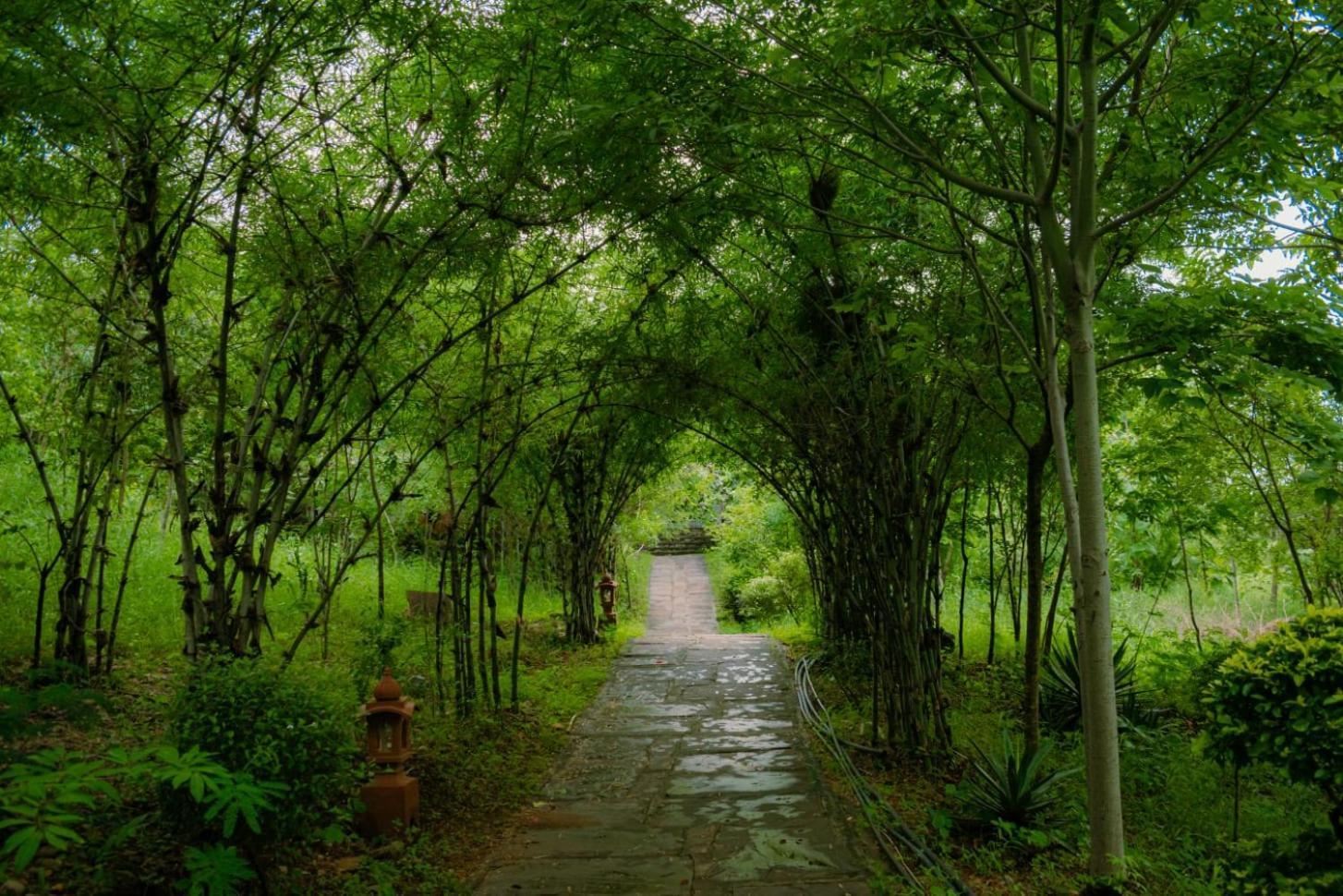 The Sky Imperial Kumbhalmer Resorts Kumbhalgarh Ngoại thất bức ảnh